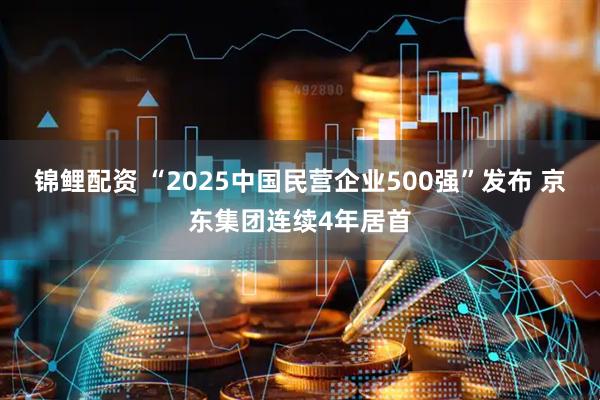 锦鲤配资 “2025中国民营企业500强”发布 京东集团连续4年居首