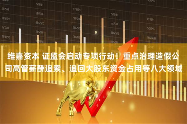 维嘉资本 证监会启动专项行动！重点治理造假公司高管薪酬追索、追回大股东资金占用等八大领域